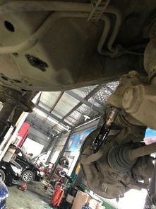 發動機懸掛系統更換全攻略 下擺臂、元寶梁與機腳紙元寶的維護